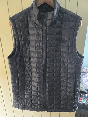 Black the north - face, padded